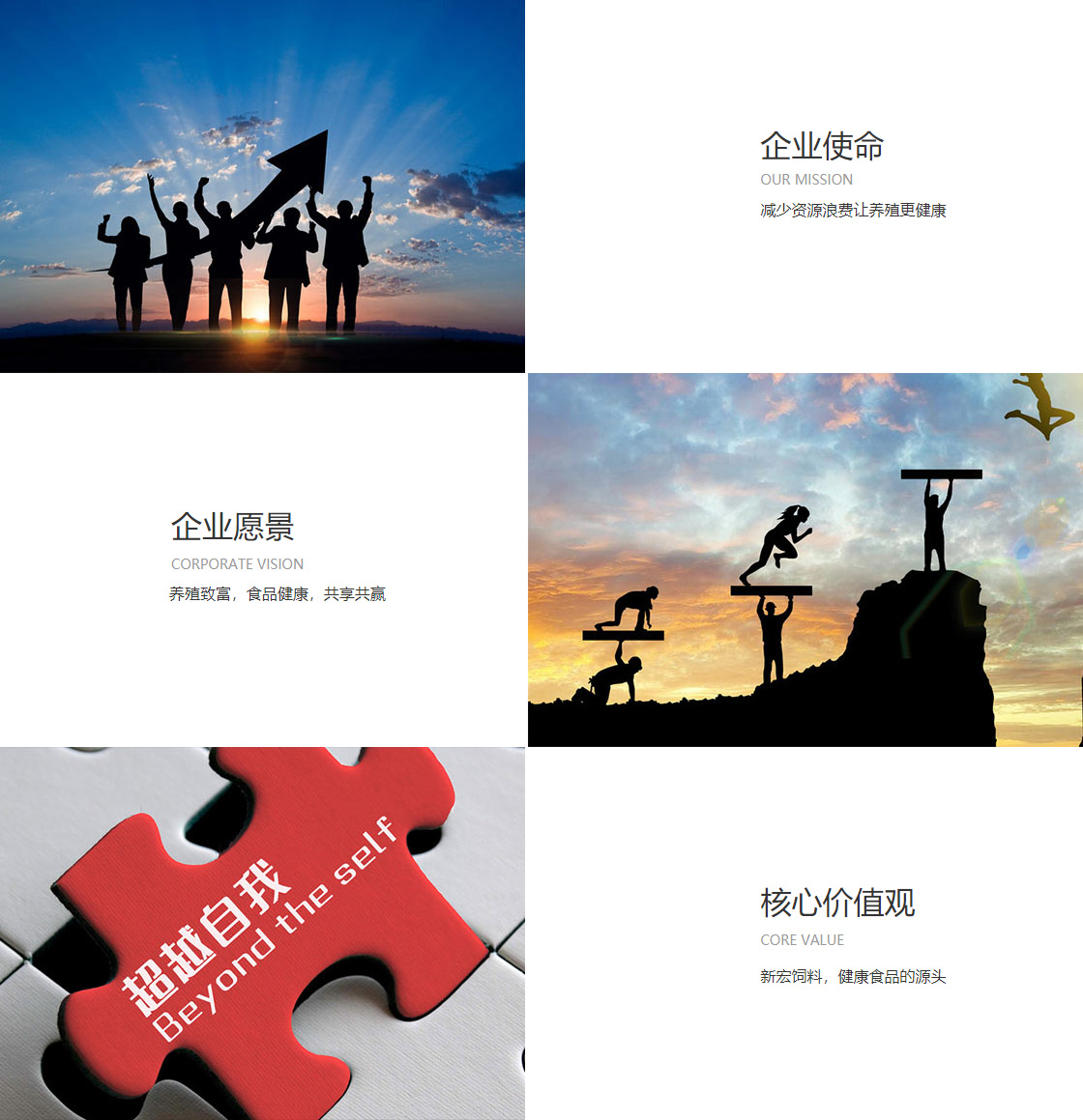 金世豪最新网址(图1)